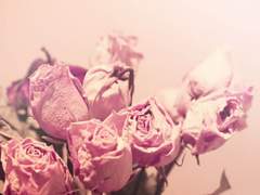 어떻게 해야만 좋을까.