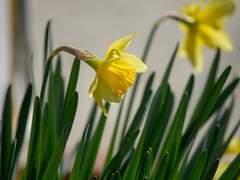 너에게 전하는 마지막 인사.