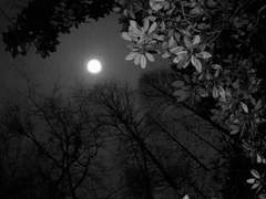 누군가의 심장이 될 수 있을까요?