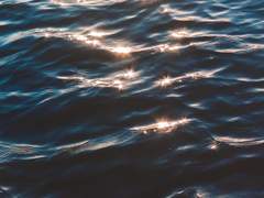 57화: 서른두 번째 꿈 <실종자> (1)