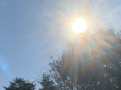 1화. 바람이 부는