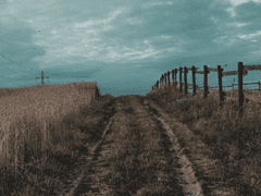 (미)One Hundred-day