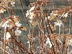 진해, 내수면 저수지