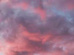 69화: 서른아홉 번째 꿈 <나를 닮은 너에게>