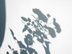 70화: 마흔 번째 꿈 <모든 것이 제자리에> (完)