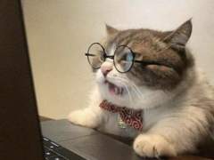 짝남 덕질한 썰 푼다 1탄