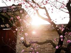 [청문/청명] 잘 가요, 사형.