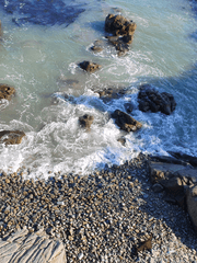 내가 찍은 사진