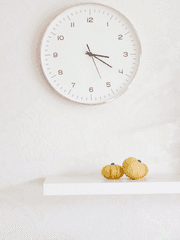 장편물 레하 모음집