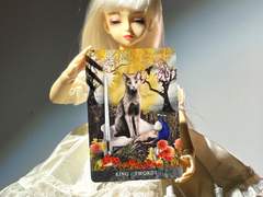 이번 주의 카드: King of Swords