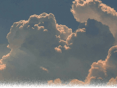 𝙈𝙀𝘿𝙄𝘼 𝙋𝘼𝙋𝙄𝙇𝙇𝙊𝙉|25|수리부엉이|Xy