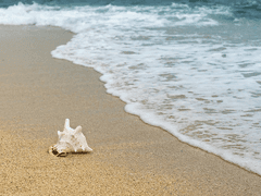 처음이자 마지막