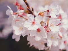 [휴] 그 날, 그녀의 말 한마디로 돌아가던 나의 세계는 무너져 내려갔다.