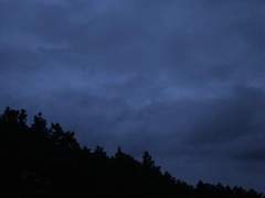 연민하던 당신의 가슴에는 호색과 같은 마음이 한철 지나가고 있었다고 지난해의 우리는 그곳에 머무르고 있다