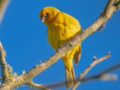 신께, 부탁합니다