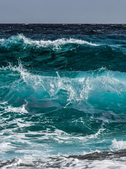 친애하는 나의 희망에게