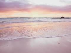 [건엽연지] 후회의 바다