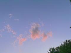 이게 ??이 아니면