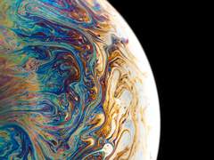 달에는 토끼가 살았다