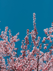 화산귀환 썰백업