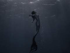 배우 빙의글 잔혹동화 인어공주 完