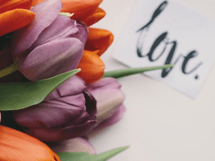 내 과거, 지금 그리고 미래