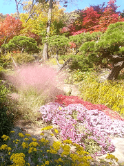 만법지의 단편모음