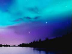 각 조각들이 모인