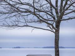 [단편 -겨울] 하얀 눈이 되어 와주길