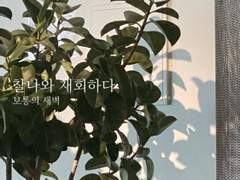 찰나와 재회하다