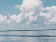 바다 위를 가로지르는 그 느낌!