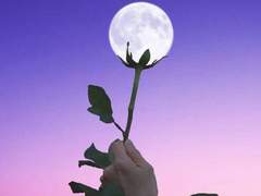 달이 뜨면 꽃이 피고 - 16