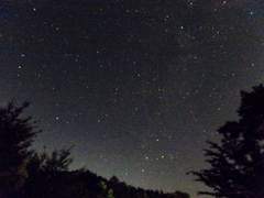 남겨진 자들의 슬픔