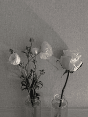 짝사랑으로 변하는 순간 