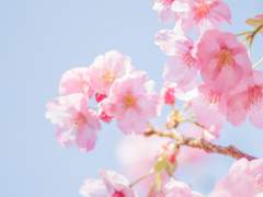 무제 (전문 공개 샘플입니다.)