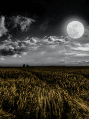 [주술회전X하이큐] 별이 빛날 때