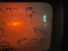 人生의 하이라이트