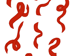 [무료 굿노트 스티커] 리본 끈 (무테ver)