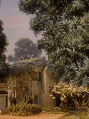 바람과 함께 사라지다