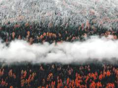 우리는 지나간 기차를 기다리고 있으므로 :: 프롤로그