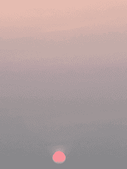 마피아42 연성 모음