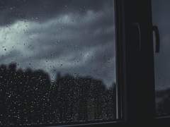 같이 잘못될 운명