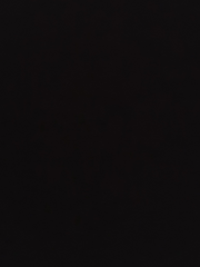 시인의 자화상 시리즈