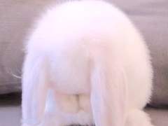 문제적 가이드_19