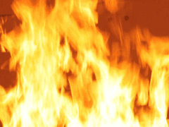 그린것들(연성x)