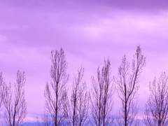 난 네가 빚을 제대로 갚으리란 생각은 하지도 않았단다.