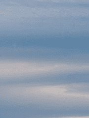 불새문화제 참여작