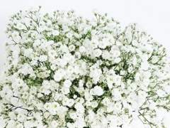 그렇게 치면 나도 괴물이예요.