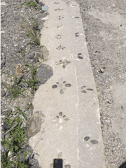 이제 떠나야지 떠날 수 있지?