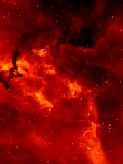 평형과 공평에 대하여